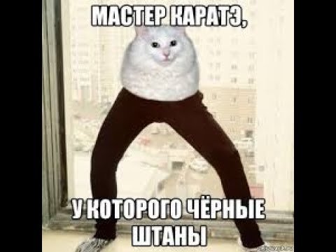 Кот в штанишках
