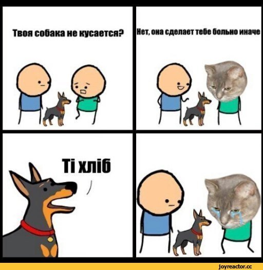 Ваша собака кусается Мем