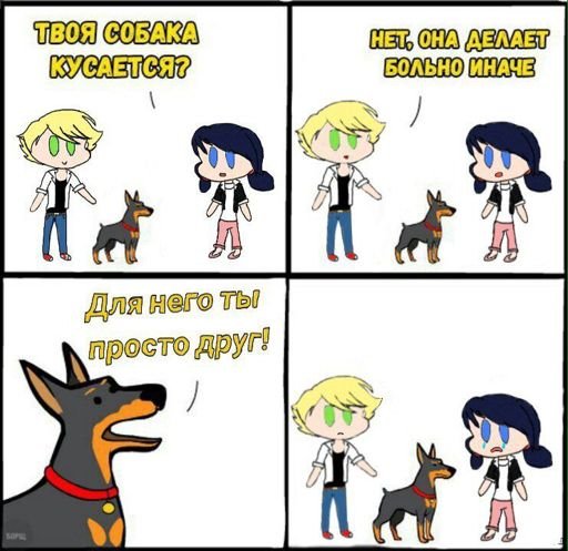 Собака делает больно иначе