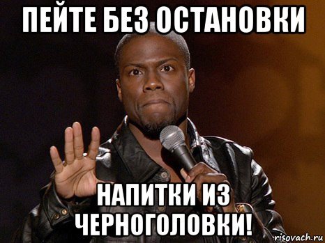 Черноголовка Мем