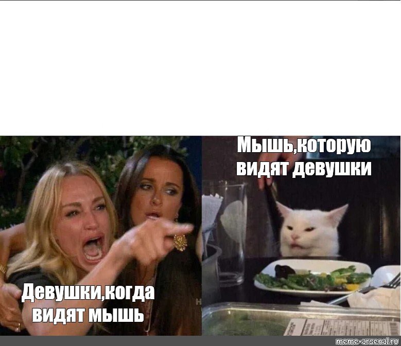 Девушка мышка мемы