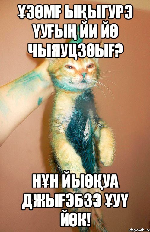 Котик отдыхает Мем