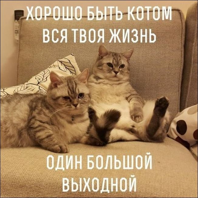 Весёлых выходных картинки