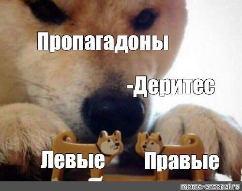 Ебитес деритес