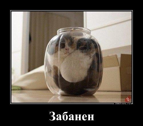 Забанили банка