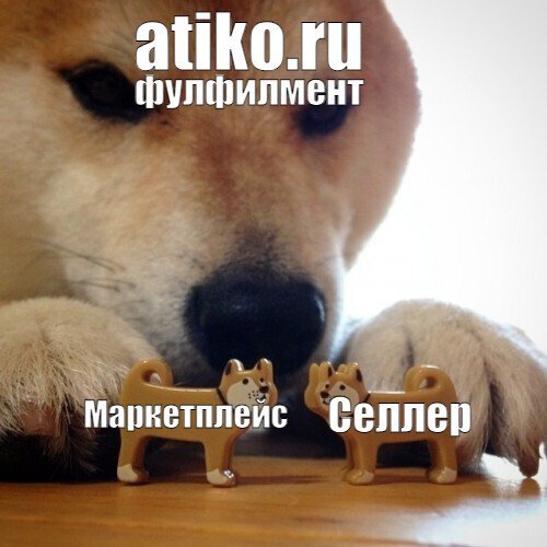 Собака с собачками Мем