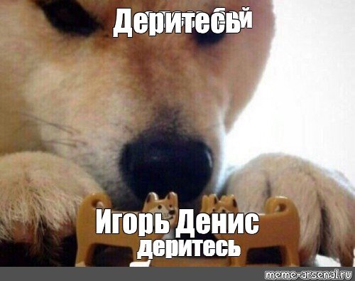 Мем пес ебитес
