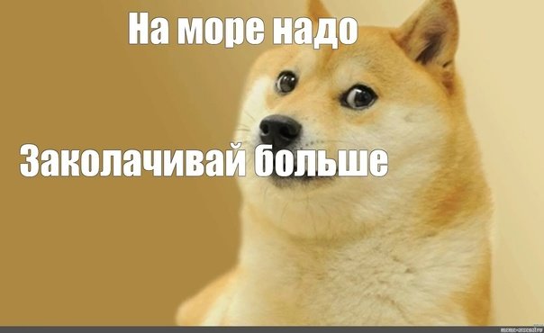 Мем с собакой без надписей