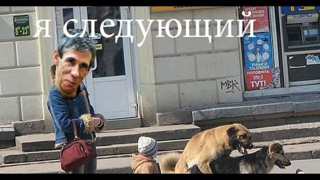 Панин и собака приколы