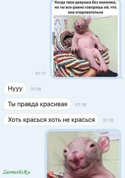 Мемы с крысами
