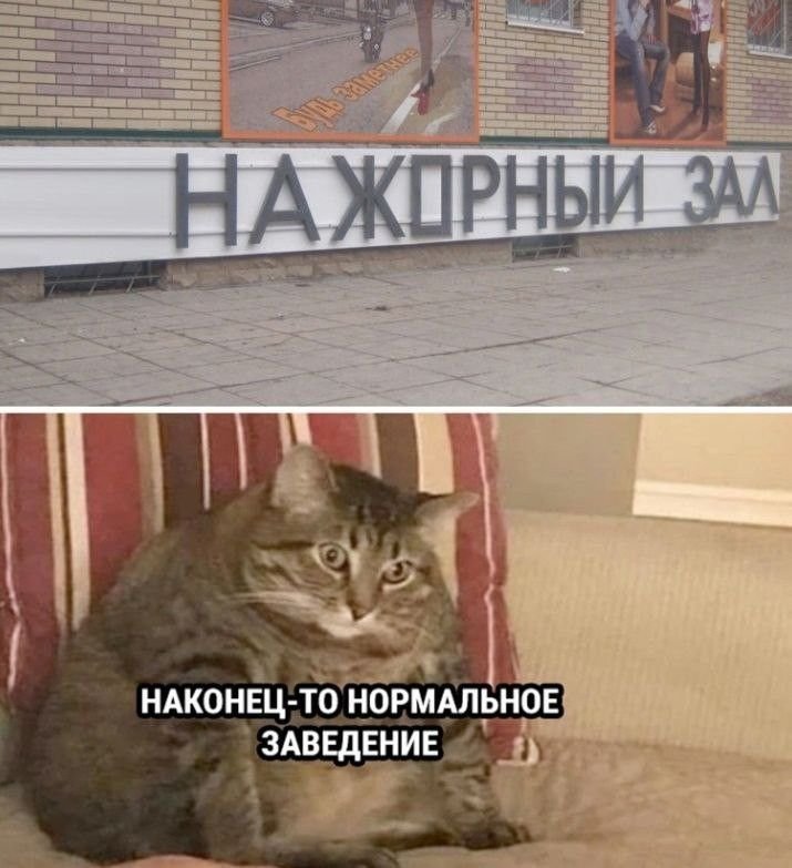 Мемы про зал