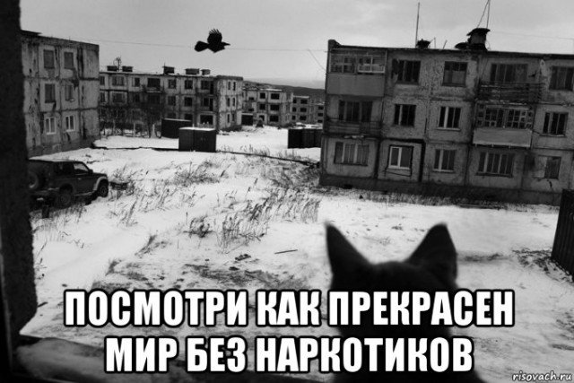 Мир прекрасен без наркотиков