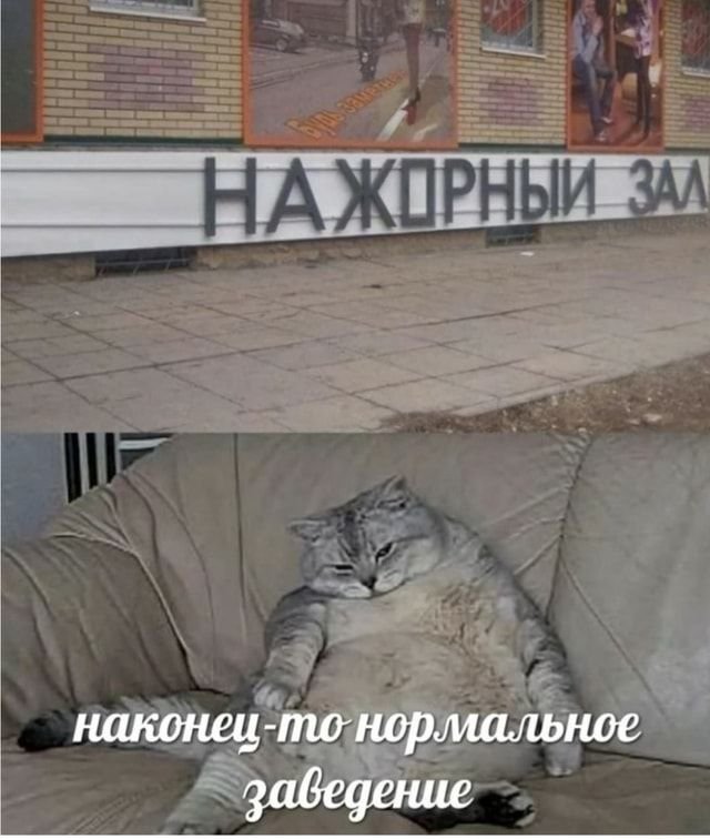 Мемы про новости