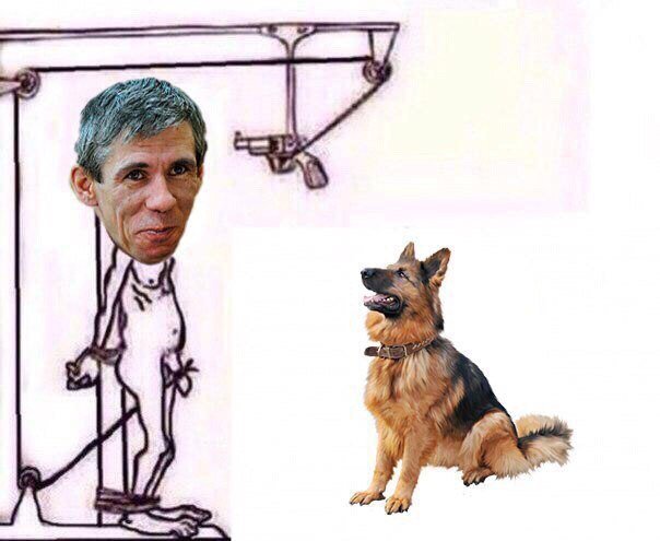 Собака Панина