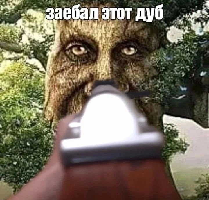 Мудрое дерево с лицом