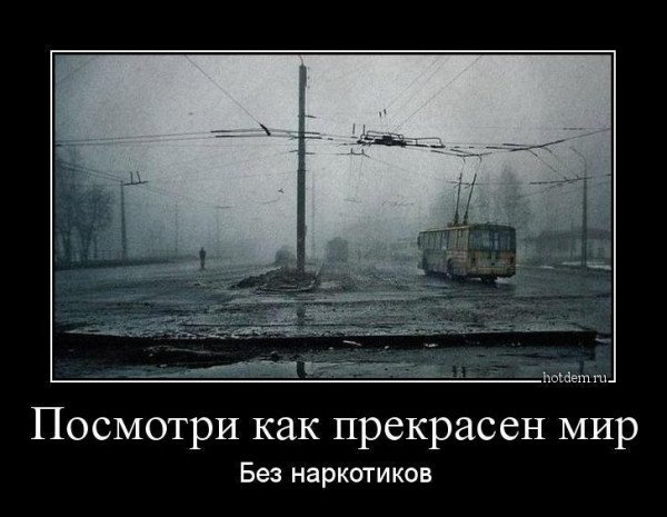 Posmotri kak perkrasen mir bez narkotikov
