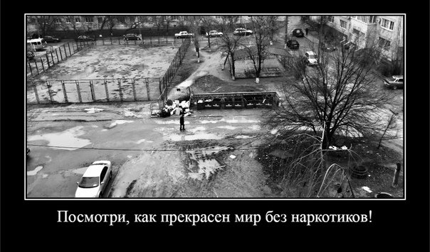 Как прекрасен мир без наркотиков демотиватор