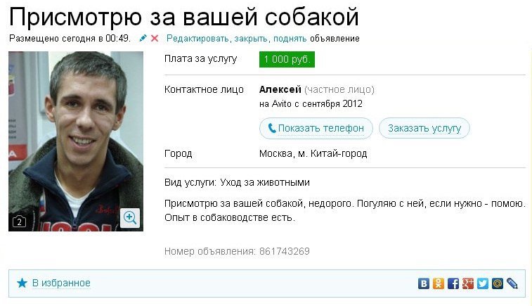 Приколы про Панина и собак