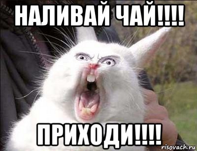 Хочешь чаю уже наливаю с мужиком и пахом