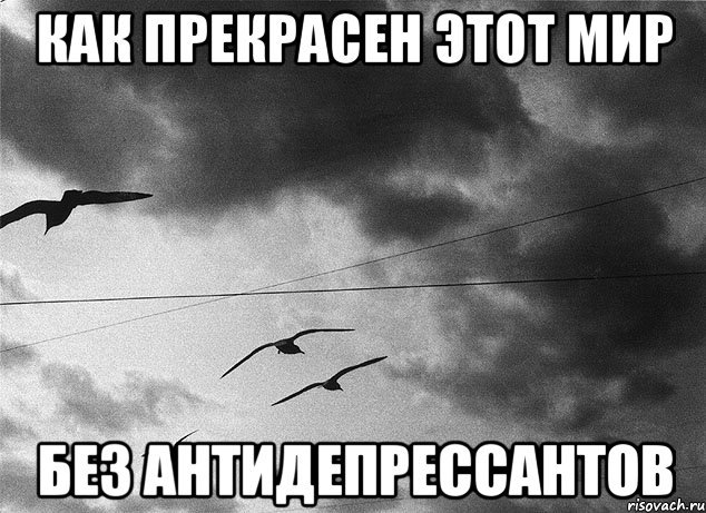 Посмотри как прекрасен мир