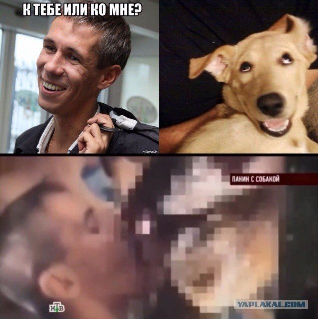 Алексей Панин sobaka