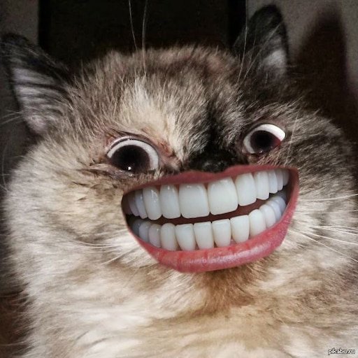 Улыбка кота