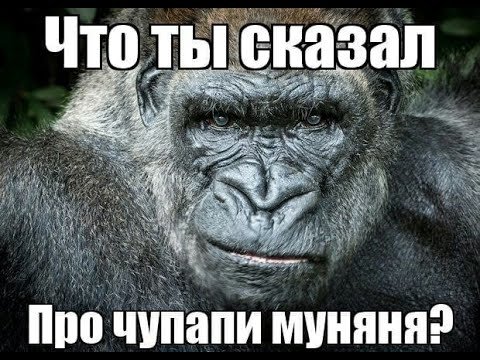 Что такое чепапи муняню