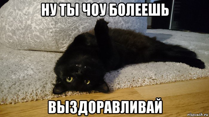 Выздоравливай Мем с котом