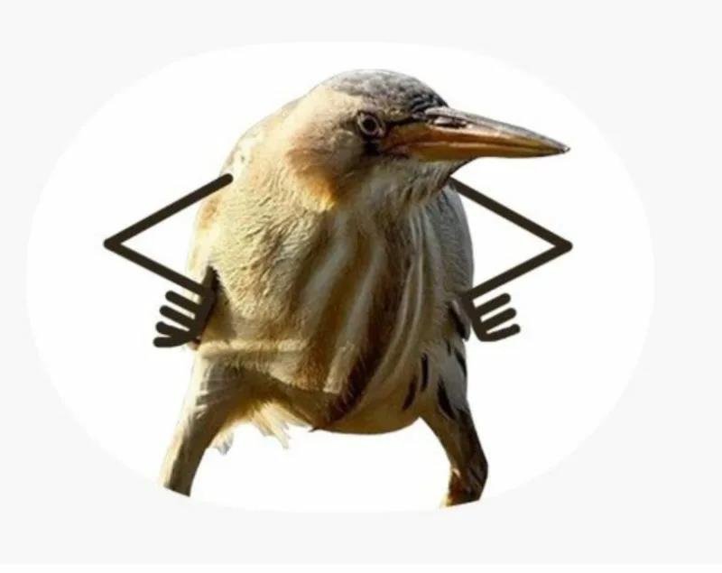 Так Мем птица