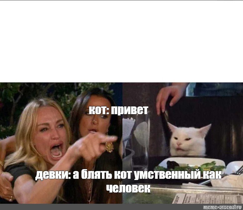 Популярные котики Мем