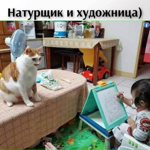 Кот в очках рисунок прикол