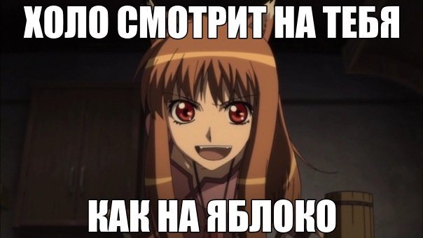 Холо мудрая