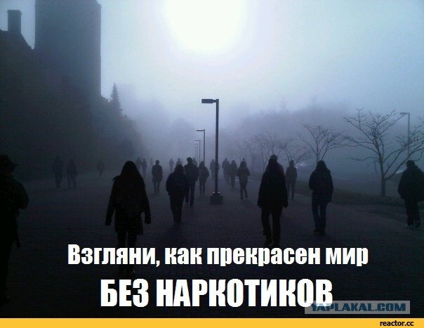 Как прекрасен мир без наркотиков