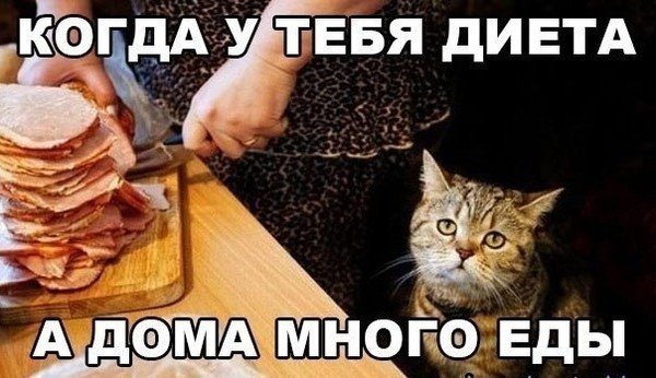 Приколы про еду