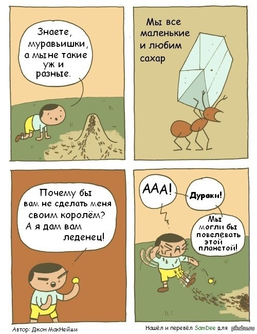 Анекдоты про муравьёв