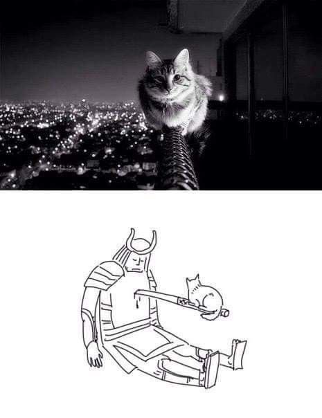 Кот с катаной