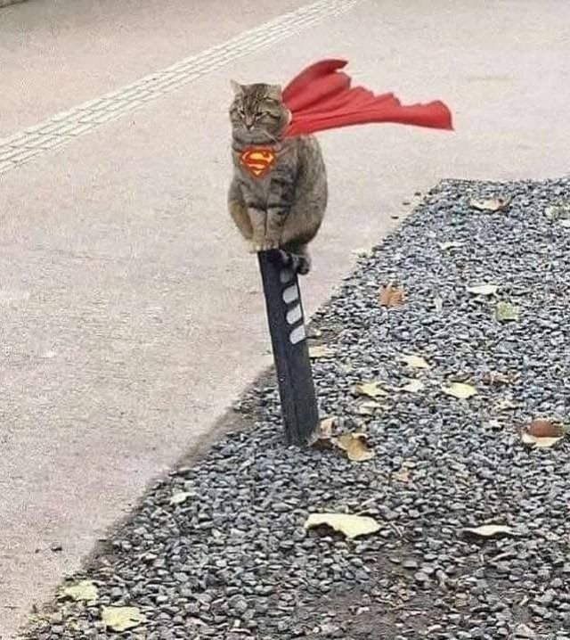 У самурая нет цели есть только путь