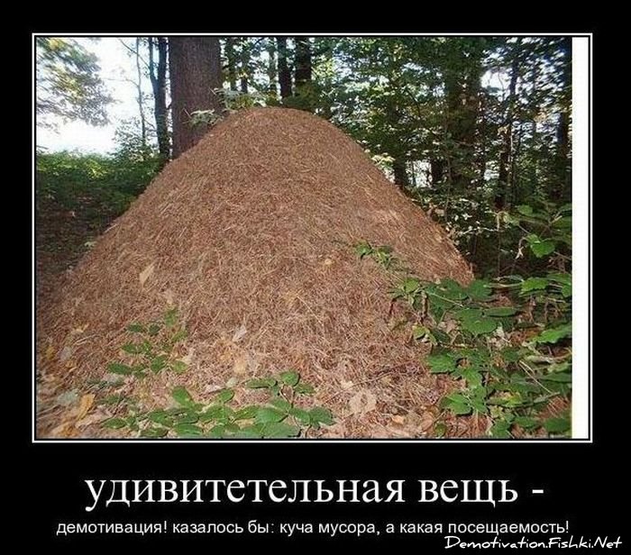 Муравейник с вещами