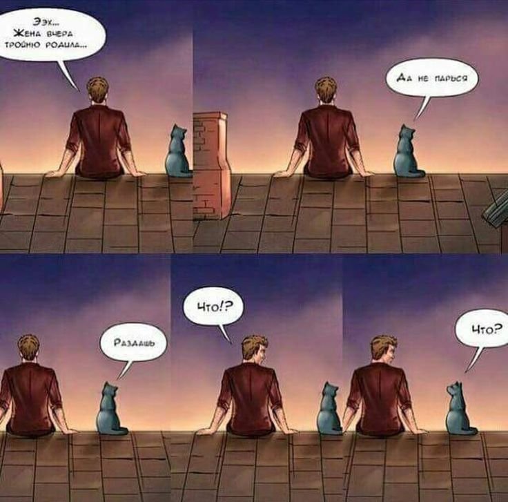 Жена тройню родила не переживай раздашь