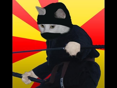 Маски. Котик