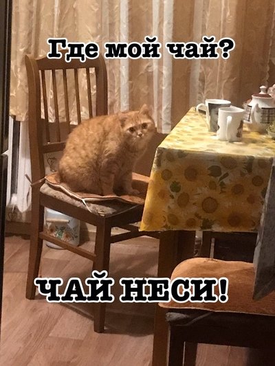 Мемы про чай