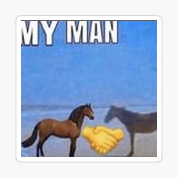 Мемы с лошадьми