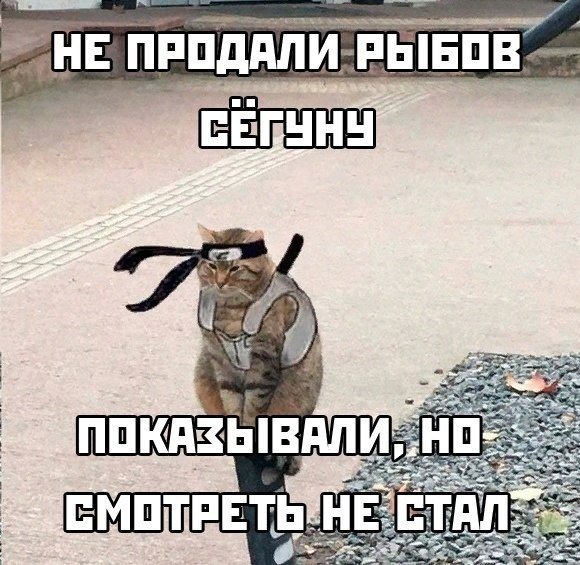 Коты Самураи Мем