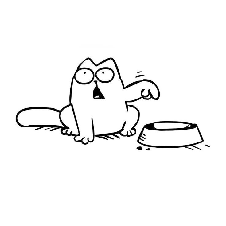 Миска для кота