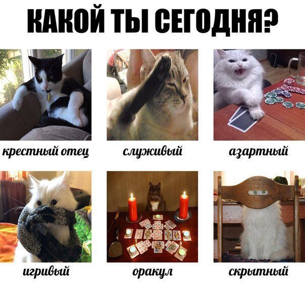 Какой ты сегодня