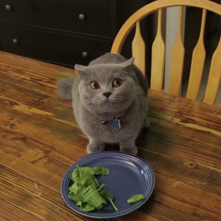 Кот ворует со стола