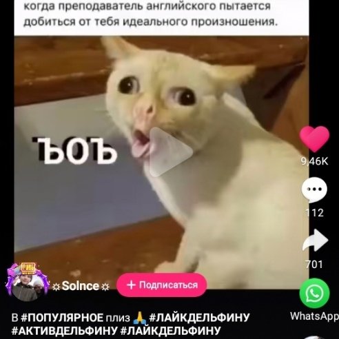 Кот не может выговорить Мем