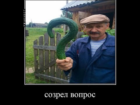 Дед с огурцом вопросом