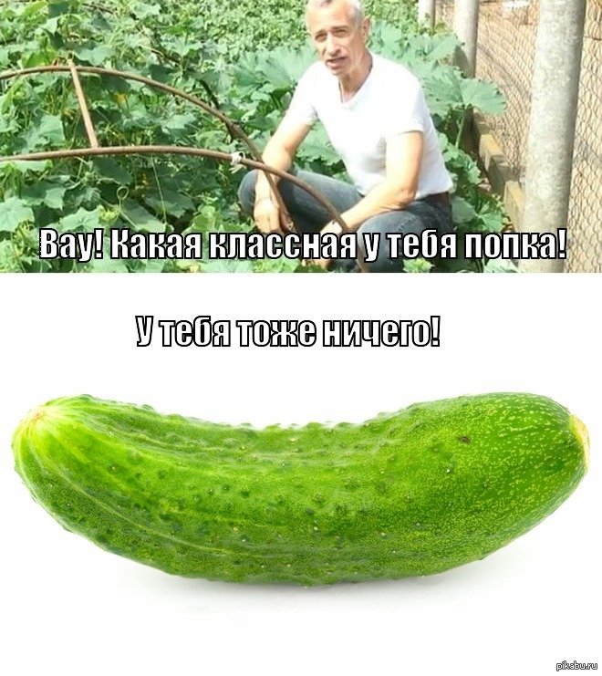 Мужик с огурцом
