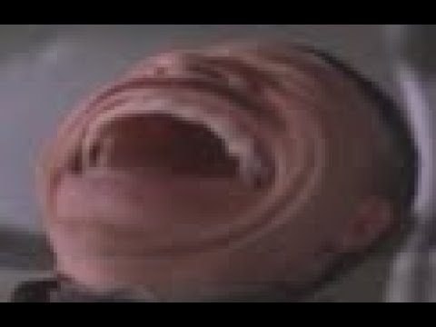 Джей Джона джеймсон смеется